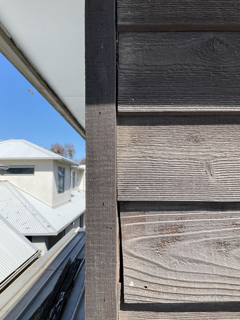 Cladding separated in places, letting moisture reach the frame behind, found during a pre-purchase inspection in Newport