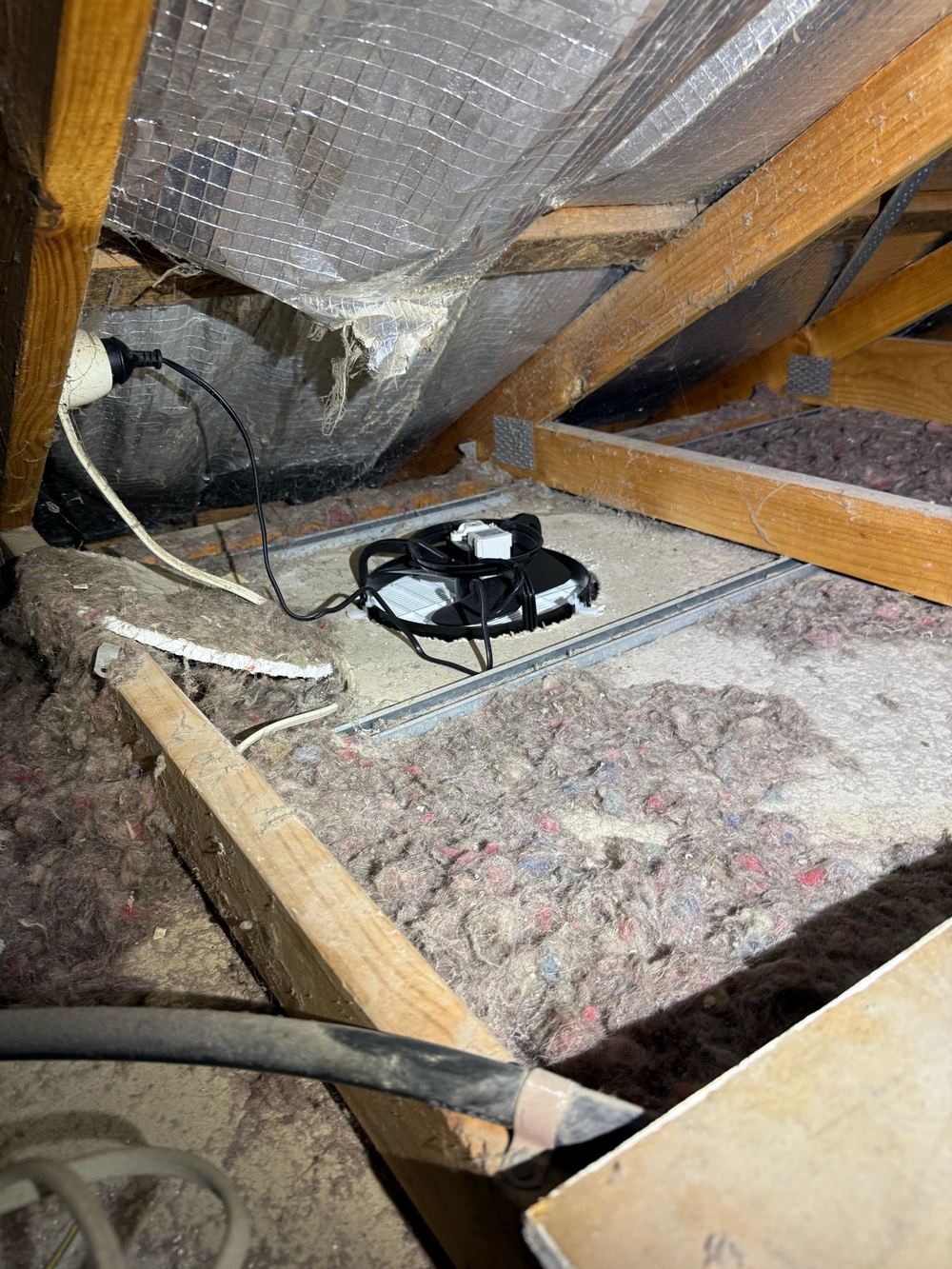 Bathroom fans discharging into the roof space rather than outside, found during a pre-purchase inspection in Newport